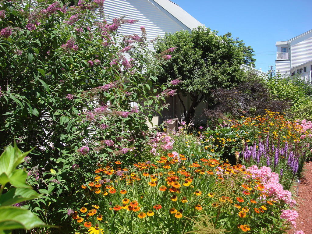 Pink Blossoms Resort Ogunquit Exterior photo